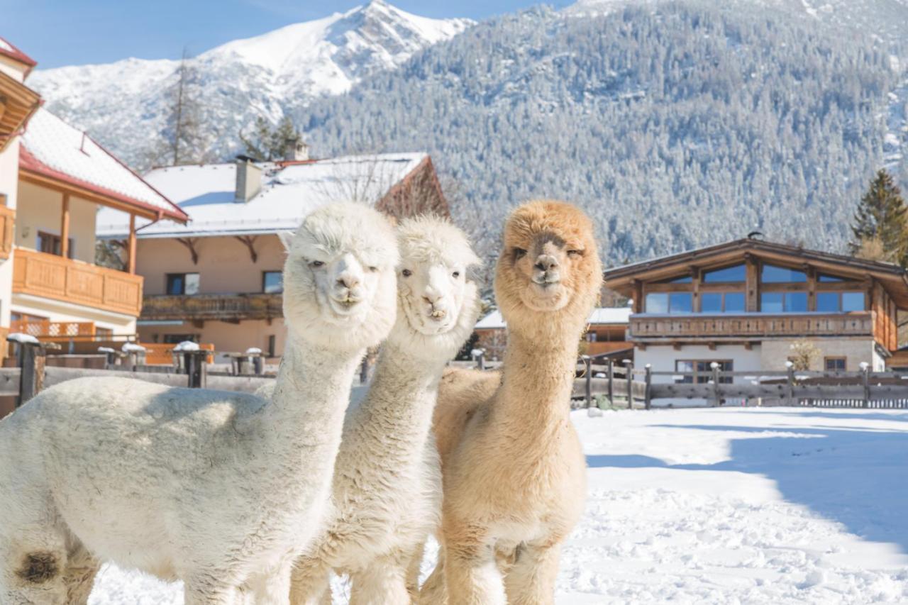 Flat Otel Seefeld in Tirol Dış mekan fotoğraf